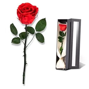 Christmas Rose Flower Gifts for Mom from Daughter and Son, SingleRose 00-red - Picture 1 of 7