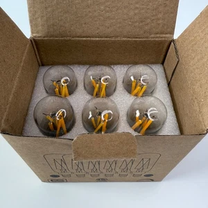 LiteHistory LED Dimmable Bulb 6Pack T6/T8 E12 Candelabra 6W=60W 2700K Warm White - Picture 1 of 11