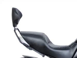 SHAD Rückenlehnenpolster silber und Montagesatz Ducati Diavel 1200 2012-2018 - Bild 1 von 5