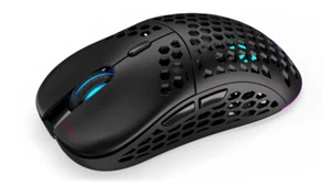 ENDORFY LIX Wireless, schwarz, USB Gaming Maus - Bild 1 von 5