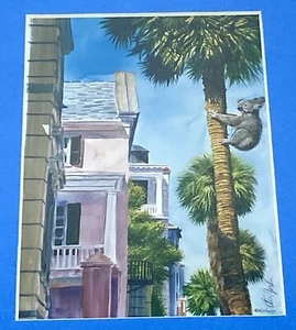 Framed & Signed Steven Jordan Photographic Print Animal Series Koala Palm Tree - Picture 1 of 4