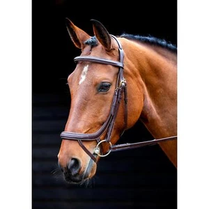 Shires Salisbury Buckingham Trense - Australian Nut - Bild 1 von 1