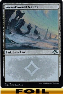 1x - Snow-Covered Wastes - FOIL - Modern Horizons 3 - NM MTG - Picture 1 of 1