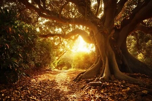 Tree of Life Canvas Picture Print Wall Art - Picture 1 of 3