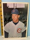 Vintage Glenn Beckert Chicago Cubs Team Issued Color Photo 6x9