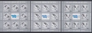 Russia 2011 Winter Olympic Games Sochi 2014 sport short track skiing - Picture 1 of 4