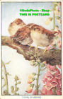 R360555 Young Sparrows. Medici Society. No. 596. Mary Forster Knight