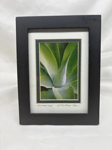 Plant Picture Frame - Picture 1 of 5