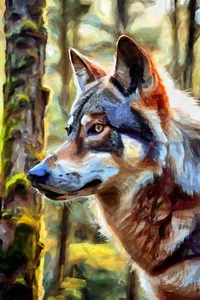 Abstracción de lobo por Vanessa Knight impresión de giclee contemporáneo envío gratis - Imagen 1 de 3