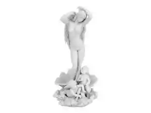 Birth of Goddess Aphrodite Venus Statue Sculpture White Finish 32 cm - Picture 1 of 7