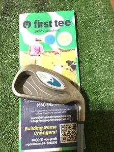 Callaway Ladies Hawkeye VFT Ti. Tung. 4 Iron Gems Graphite Shaft - Picture 1 of 11