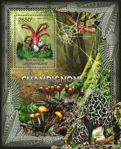 Mushroom Stamp Clathrus Archeri Trichia Decipiens Vibrissea S/S MNH #3616/Bl.938 Cover