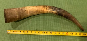 Medieval Viking Drinking Cosplay Horn prop - Picture 1 of 3