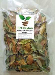 Radaliya Connarus Monocrpus legno di zebra indiano Ceylon erbe selvatiche 250 g-750 g - Foto 1 di 7