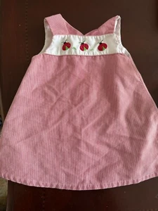 NWT Petit Ami Pink Bishop Ladybug Smocked Baby Girls Dress 12M - Picture 1 of 5