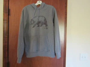 THE NORTH FACE BEAR HOODIE GRAU PULLOVER SWEATSHIRT NEVER STOP EXPLORING HERREN S - Bild 1 von 6
