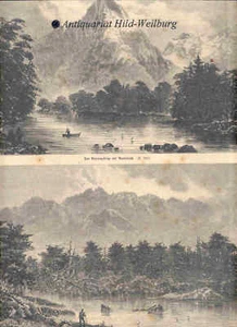 Neuseeland/2 Ansichten. Barren Beaks. Holzstich v.1892. - Bild 1 von 1