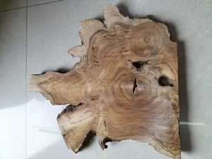 live edge slice of indian teak wood burl wood with high grains for casting craft - Picture 1 of 7