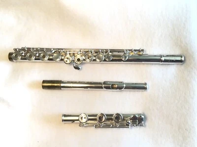 Andreas Eastman EFL 220B флейта слегка б/у  - Изображение 1 из 4