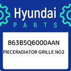 863B5q6000aan Hyundai Pieceradiator Grille No2 863B5q6000aan, New Genuine Oem Pa
