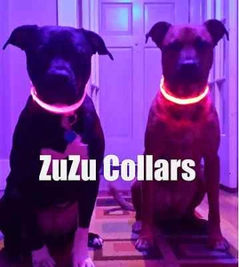 Pink Dog Collar - XL - Dog Light, Light-up Tags, LED Collar Clip, Dog Light - Picture 1 of 3