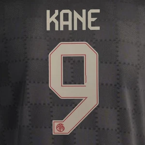 OFFICIAL KANE #9 FC Bayern 3rd 2025-26 Print - Picture 1 of 6