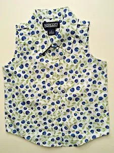 NWT LANDS END True Blue Sleeveless Blueberry Allover Print Collar Top Blouse 5 - Picture 1 of 3