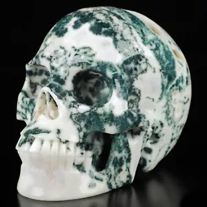 Tree Agate Realistic Carved Gemstone Crystal Skull 5" Inch SK117 - Picture 1 of 7