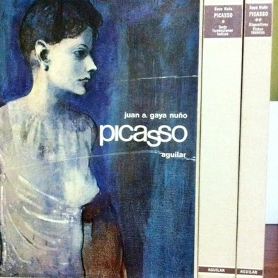 Picasso, A History By Juan A. Gaya Nuño, European, Hardcover, Vintage - Image 1 of 4