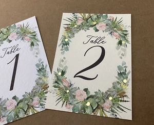 Cactus succulent plants TABLE NUMBER card blush pink roses wedding seating decor - Imagen 1 de 9