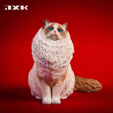 JXK 1/6 Ragdoll Figure Cute Cat Pet Animal Model Resin Collector Decoration Toy