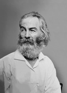Walt Whitman - 1863 - Portrait Poster - Picture 1 of 1