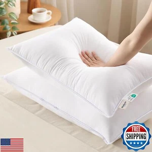 Bedsure Fluffy Pillows Queen Size Set of 2 - Soft Queen Pillows 2 Pack with B - Picture 1 of 5
