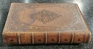 Scenes of Wonder and Curiosity in California 1862 by James M. Hutchings - Imagen 1 de 14