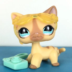 Authentic Littlest Pet Shop #886 Shorthair Cat / Original Hasbro LPS - Imagen 1 de 5