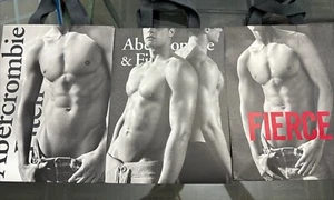 3 Abercrombie & Fitch Male Model Shopping Bags Fierce Bruce Weber 12x9” - Picture 1 of 7