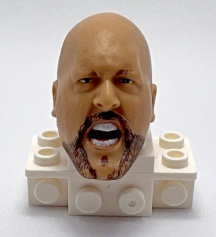 The Big Show  Jakks Mattel WWE WWF Custom Fodder Head Part Accessories Cover
