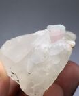 308 Carart Tourmaline with Quartz Crystal Specimens from Afghanistan