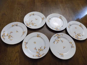 Lotto vintage 6 cerchi in oro Royal Bayreuth Bavaria 9,75" piatti da cena fiore giallo - Foto 1 di 20