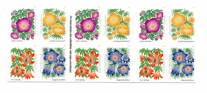 Folleto de 20 Scotts 5672-75 (EE. UU.), 2022 Mountain Flora DS, placa P1111, como nuevo - Imagen 1 de 2