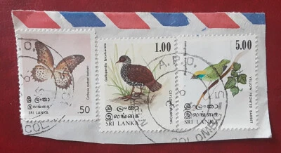 SRI LANKA 1978-9 Butterfly & Birds on Piece Scott 535, 567-8 Superb 4600-1 - Image 1 of 2