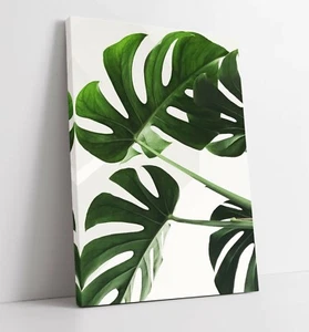 MONSTERA LEAF 7 CANVAS WALL ART FLOAT EFFECT/FRAME/PICTURE/POSTER PRINT- WHITE - Picture 1 of 21