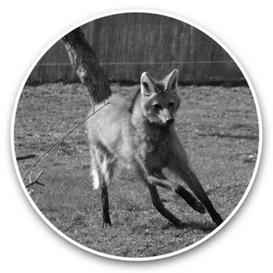 2 x Vinyl Stickers 20cm (bw) - Cute Maned Wolf Dog Animal  #39250 - Afbeelding 1 van 8