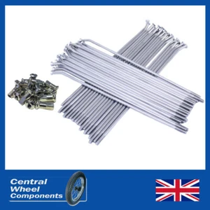 Polished Stainless Spoke Set - Honda CB200 (73-76) Disc Hub front (18 Rim) - Picture 1 of 3