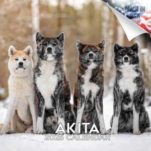 AKITA Wall Calendar 2025 DOG Lover Pet Lover Gift - Picture 1 of 2