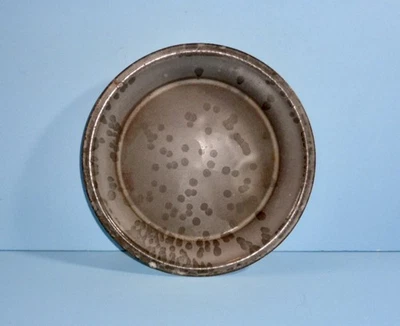 ANTIQUE DOTTED GRAY GRANITEWARE PIE PLATE PRIM ENAMELWARE OVEN BAKING PAN AAFA - Image 1 of 3