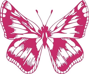 Butterfly Bug Insect Animal Car Truck Window Vinyl Decal Sticker - Bild 1 von 2
