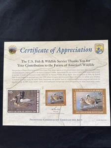 JDS15 - Junior Federal  Duck Stamp. Single. MNH With Certificate Of Appreciation - Picture 1 of 4