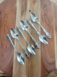 6 Fruit Spoons RAPHAEL Oneida Distinction Deluxe Glossy Stainless Flatware
