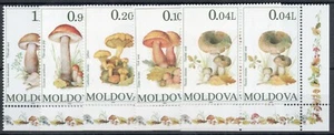 1995 - Moldavia - Funghi 5 val. in coppia MNH** - Picture 1 of 1